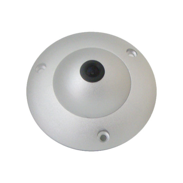 Camera ngụy trang Goldeye GE-FSH18L