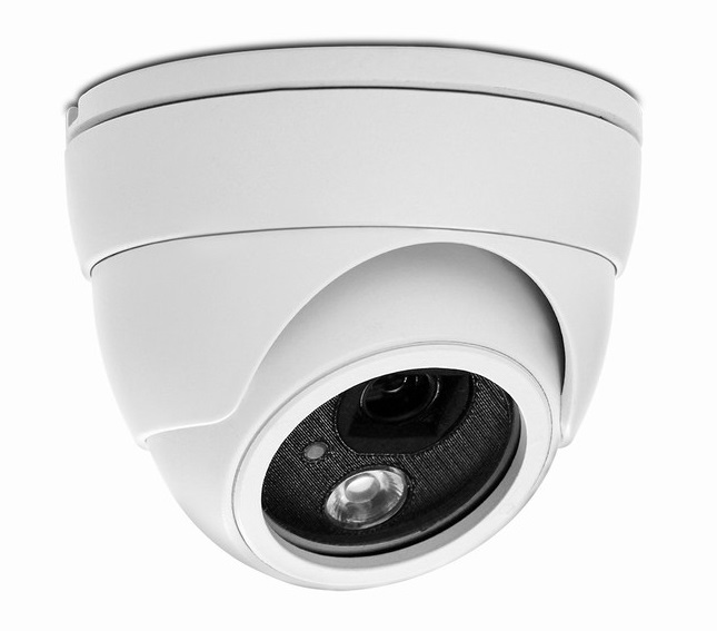 Camera IP Dome hồng ngoại AVTECH AVN420P