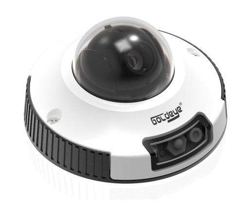 Camera IP Dome hồng ngoại Goldeye GE-NMD464-IR