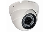 Camera IP Grandstream | Camera IP Dome hồng ngoại Grandstream GXV3610-HD