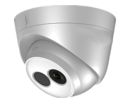 Camera IP Dome hồng ngoại 2.0 Megapixel HDPARAGON HDS-2120IRP/D