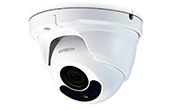 Camera AVTECH | Camera HD-TVI Dome hồng ngoại 2.0 Megapixel AVTECH DGC1304XFTP