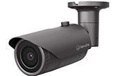 Camera IP Hanwha Vision | Camera IP hồng ngoại 2.0 Megapixel Hanwha Vision QNO-6022R