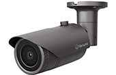 Camera IP Hanwha Vision | Camera IP hồng ngoại 2.0 Megapixel Hanwha Vision QNO-6012R