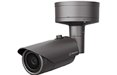 Camera IP Hanwha Vision | Camera IP hồng ngoại 5.0 Megapixel Hanwha Vision XNO-8020R