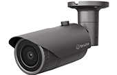 Camera IP Hanwha Vision | Camera IP hồng ngoại 5.0 Megapixel Hanwha Vision QNO-8020R