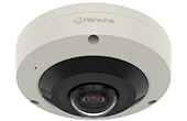 Camera IP Hanwha Vision | Camera IP Fisheye hồng ngoại 6.0 Megapixel Hanwha Vision XNF-8010RV