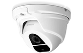 Camera IP AVTECH | Camera IP Dome hồng ngoại 2.0 Megapixel AVTECH DGM1304P