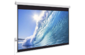 Màn chiếu EXZEN | Màn chiếu điện 85-inch EXZEN ENS85SWP