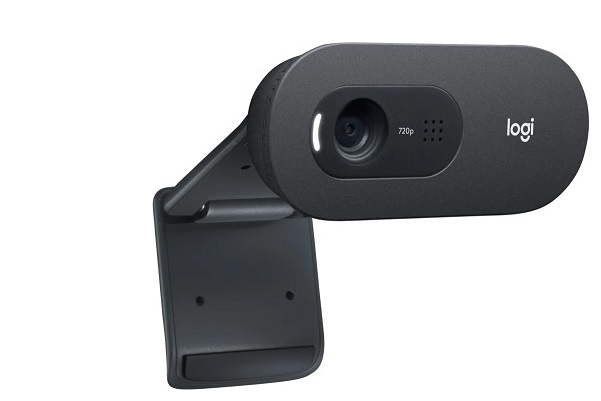 Webcam Logitech C505E