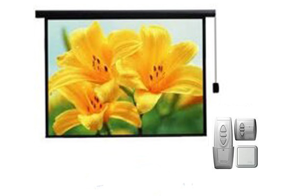 Màn chiếu điện điều khiển từ xa 85 inch REGENT MS60-O