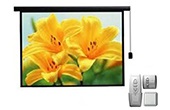 Màn chiếu REGENT | Màn chiếu điện điều khiển từ xa 120 inch REGENT MS84-S