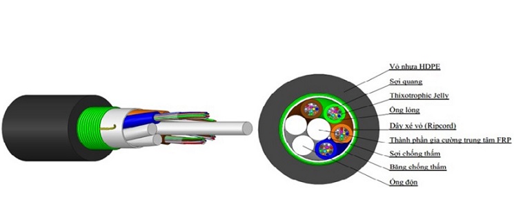Cáp quang luồn cống 96FO có băng thép chống gặm nhấm SACOM DUA96