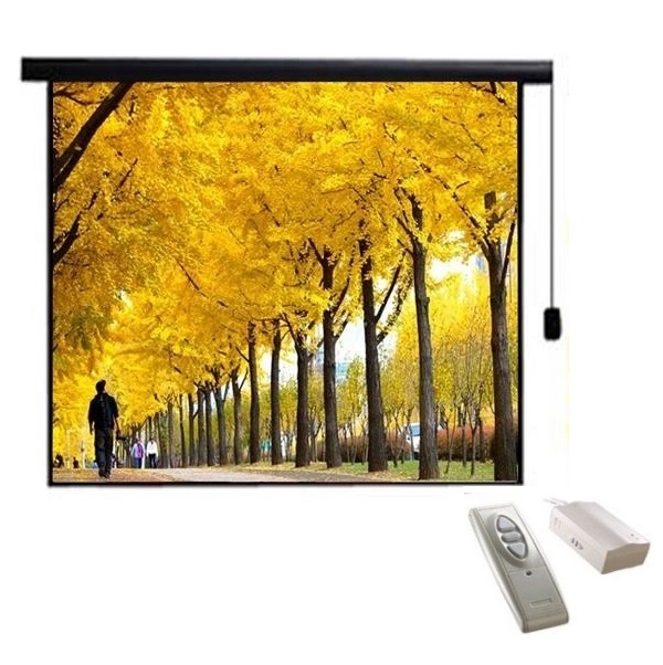 Màn chiếu điện Electric DALITE 84” x 84” (2.13 x 2.13m)