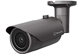 Camera IP Hanwha Vision | Camera IP hồng ngoại 2.0 Megapixel Hanwha Vision QNO-6032R1 