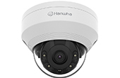 Camera IP Hanwha Vision | Camera IP Dome hồng ngoại 2.0 Megapixel Hanwha Vision QNV-6012R1