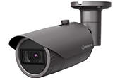 Camera IP Hanwha Vision | Camera IP hồng ngoại 4.0 Megapixel Hanwha Vision QNO-7082R