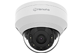 Camera IP Hanwha Vision | Camera IP Dome hồng ngoại 4.0 Megapixel Hanwha Vision QNV-7012R