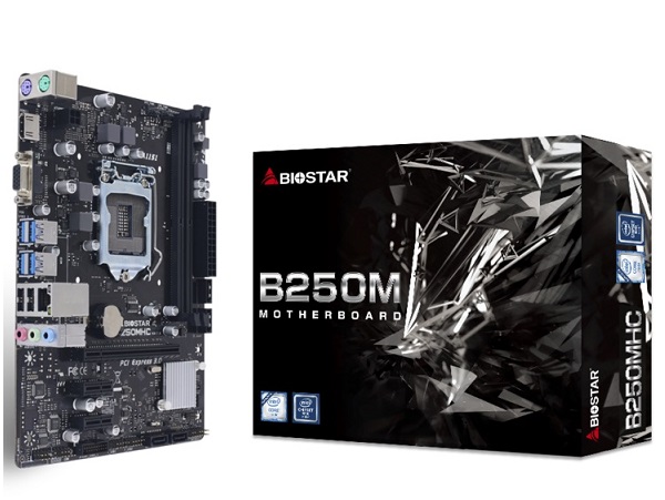 Mainboard BIOSTAR B250MHC