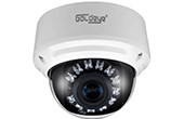 Camera IP GOLDEYE | Camera IP Dome hồng ngoại 4.0 Megapixel Goldeye GE-NFD540