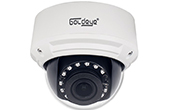 Camera IP GOLDEYE | Camera IP Dome hồng ngoại 8.0 Megapixel Goldeye GE-NFD580