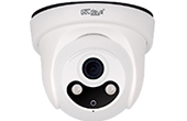 Camera IP GOLDEYE | Camera IP Dome hồng ngoại 2.0 Megapixel Goldeye NTE414-IR