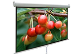 Màn chiếu APOLLO | Màn chiếu treo tường 100-inch APOLLO MNS180