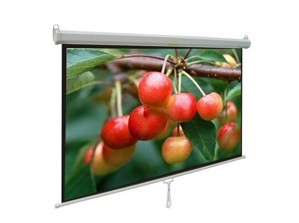 Màn chiếu treo tường 135-inch APOLLO MNS240