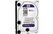 Ổ cứng HDD WESTERN | Ổ cứng chuyên dụng 6TB WESTERN PURPLE WD64PURZ