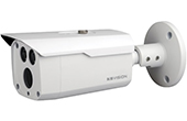 Camera KBVISION | Camera 4 in 1 hồng ngoại 2.0 Megapixel KBVISION KX-C2003S5 (6mm)