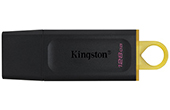 USB/Thẻ nhớ KINGSTON | USB 3.2 128GB KINGSTON DTX/128GB