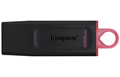 USB/Thẻ nhớ KINGSTON | USB 3.2 256GB KINGSTON DTX/256GB