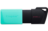 USB/Thẻ nhớ KINGSTON | USB 3.2 256GB KINGSTON DTXM/256GB