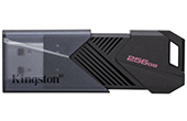 USB/Thẻ nhớ KINGSTON | USB 3.2 256GB KINGSTON DTXON/256GB