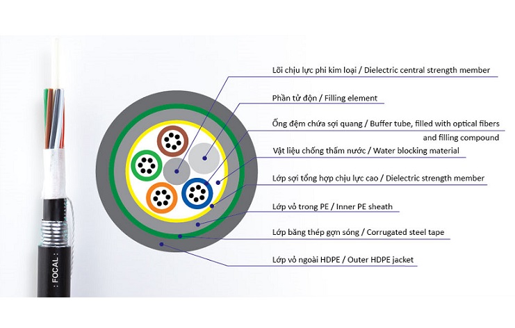 Cáp quang chôn trực tiếp 24FO FOCAL DB24