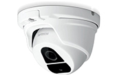 Camera IP AVTECH | Camera IP Dome hồng ngoại 2.0 Megapixel AVTECH DGM2203ASVP/F36