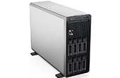 Server DELL | Tower Server DELL PowerEdge T350 (42SVRDT350-206)