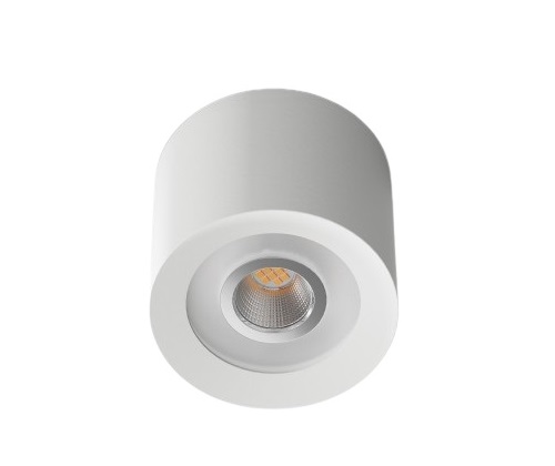 LED Ceiling Spot RGBW Tree White LOXONE (100503)