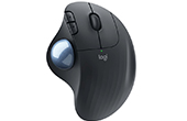 Bàn phím và chuột Logitech | Chuột bi xoay không dây Logitech ERGO M575 for Business (Đen)