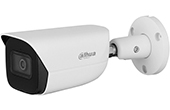 Camera IP DAHUA | Camera IP hồng ngoại 2.0 Megapixel DAHUA DH-IPC-HFW3241E-AS-S2